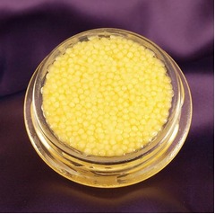 世界一高価な&ldquo;金&rdquo;のキャビア、色素持たない金のチョウザメから採取。