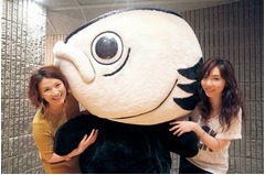 島崎和歌子が4年ぶり歌声披露、カツオ人間作詞の高知県PRソング唄う。