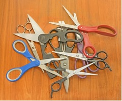 &ldquo;幻覚&rdquo;でハサミ10本飲み込む、経済的事情から摘出手術せず放置。