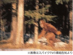 ビッグフット&ldquo;証明&rdquo;なら8億円、米国で史上最高賞金のテレビ番組。