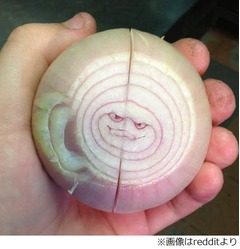 あまりにも悪者っぽいタマネギ、薄気味悪くニヤリと笑う&ldquo;悪人顔&rdquo;。