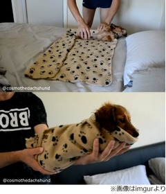 &ldquo;変わった&rdquo;ブリトーの作り方、くるくる巻いていく動画が人気。