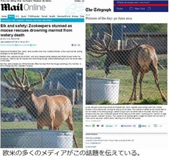 ヘラジカの小動物救助が話題に、&ldquo;あり得ない&rdquo;行動に飼育員たちも感動。