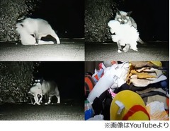 夜な夜な「窃盗」被害に遭う街、3年間で600点ものモノを盗んだ犯人は&hellip;。