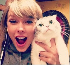 「テイラー・スウィフトが飼っている猫種、購入しないで」専門家が警告