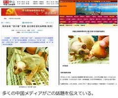 見慣れぬ猿現れ&ldquo;宇宙人&rdquo;騒動、病気と栄養不足で痩せこけ凶悪な姿に。