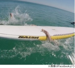 巨大なイカに&ldquo;襲撃&rdquo;されたサーファー