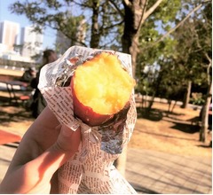 全国の絶品焼きいもを&ldquo;野外&rdquo;で食べる