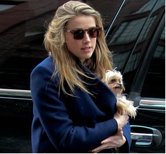 ジョニー・デップと元妻アンバーがまた揉める