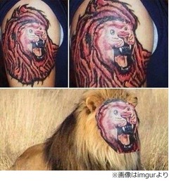 失敗したライオンのタトゥー、&ldquo;百獣の王&rdquo;威厳と貫禄はどこへ。