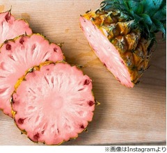&ldquo;ピンク色のパイナップル&rdquo;が話題に