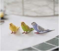 可愛い手のりインコフィギュア、ことりカフェにいる小鳥がモデル。