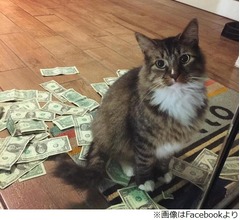 &ldquo;お金をねだるネコ&rdquo;が話題に