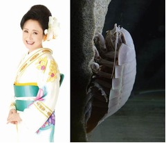 グソクたんとラスボス夢の競演、ニコニコが年越しカウントダウンLIVE。