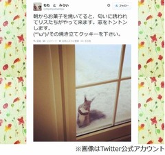 リスが窓をノックするカフェ、絵本のような「momo cafe」初のフォトブック。