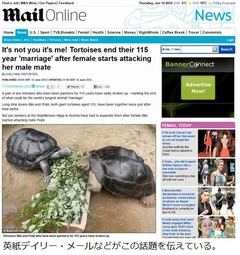 115歳のゾウガメ夫婦が&ldquo;離婚&rdquo;、1世紀も仲良しだったのに妻が突然DV。