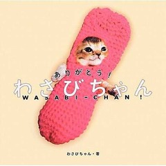 わさびちゃん写真集が急上昇、Twitterで人気となった子猫の87日間。