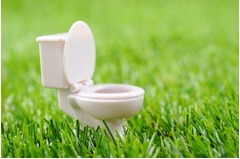 第11回「トイレ川柳」結果発表、今年は過去最高の36,930句から選考。