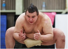 安青錦、綱とり挑戦