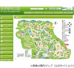 多摩動物公園でオオカミ脱走「捕獲のための対応中」「落ち着いて行動してください」