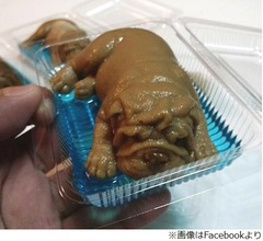 &ldquo;寝ている子犬&rdquo;そっくりのプディングが凄い