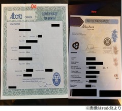 &ldquo;安い自動車保険&rdquo;求めて法的な性別変更