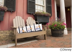 L.L.Bean&times;ダッフィーのトート、ディズニーシー開業15周年記念で。