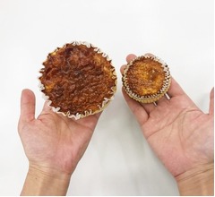 ローソン、重量3.4倍の「大きなバスチー」