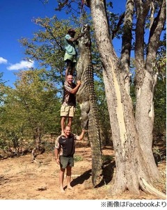 男3人の身長＝巨大ワニの体長、比較写真に「すごい」の声が殺到。