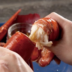 レッドロブスターが関西初上陸、ユニバーサル・シティウォークに出店。