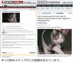 飼いネコに陪審員呼び出し状、飼い主が「辞退依頼」するも認められず。