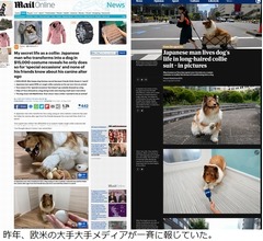 犬になりたかった日本人男性、200万円超の&ldquo;変身&rdquo;コスチュームがすごい