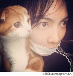 元KARA知英と愛猫&ldquo;そっくり&rdquo;、強い眼差しとクリッとした目が似てる？