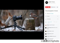 小鳥撮影する&ldquo;写真家&rdquo;のリス、「リスの雪遊び」カメラマンが新作。