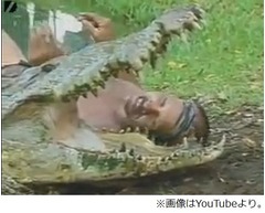 瀕死のワニを助けて仲良しに、体長5メートルの&ldquo;相棒&rdquo;と戯れる男性。