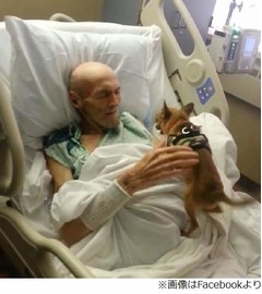 わんこと&ldquo;再会&rdquo;で体調が回復、話せないほどの衰弱から食事もOKに。