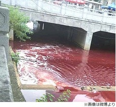 川が血の色に&hellip;本当に血だった