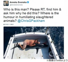 &ldquo;サメと全裸で写真&rdquo;大炎上、犯人捜し続く