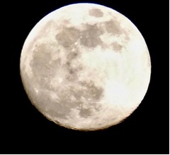 月に&ldquo;145兆円相当の貴金属&rdquo;が眠っている可能性