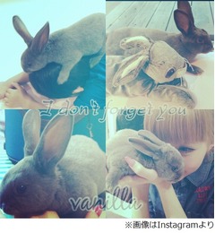 益若がペットの突然死に憔悴、ブログに辛い胸の内「涙が止まりません」。