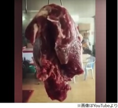 &ldquo;ピクピク動く肉の塊&rdquo;が話題