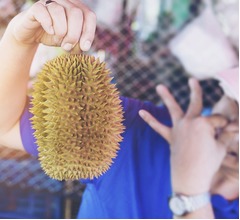 &ldquo;ドリアン臭&rdquo;充満、飛行機が緊急着陸