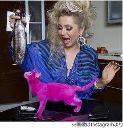 染色ピンク猫&ldquo;死亡説&rdquo;で炎上、非難殺到も飼い主は&ldquo;生存&rdquo;と反論。