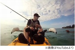 沖釣りで犬と遭遇しビックリ、海を泳いでいた&ldquo;悲しい理由&rdquo;とは。