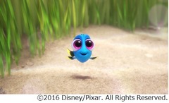 ニモ続編の赤ちゃんドリー映像、キュートで悶絶級にかわいい姿。