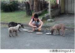 息子が散歩中にしていたこと、こっそり後を付けた父親が見た&ldquo;優しさ&rdquo;。