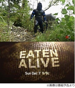 大蛇に自ら&ldquo;食べられる&rdquo;挑戦、特注スーツ着てアナコンダの体内侵入。