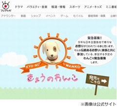 西山アナ「きょうのわんこの声知らない」に動揺