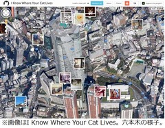 にゃんこの住処がわかるサイト、スパコン使い世界中から情報収集。