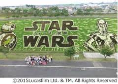 「スター・ウォーズ」田んぼアートが見頃、ストームトルーパーも視察。